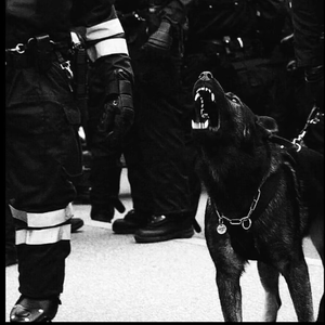 人妻被藏獒日出白浆H
