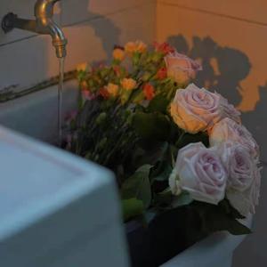 人妻被藏獒日出白浆H
